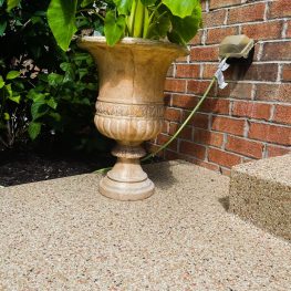 An ornate urn-shaped planter with large green leaves stands on a textured concrete surface. Behind it is a brick wall with an outdoor faucet.